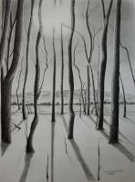 1 - Edge Of The Forest - Graphite Pencil